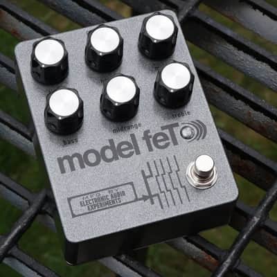 EAE Model feTEAE Model feT image 1