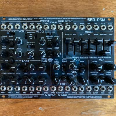 Rides In The Storm SED-CSM Discrete Analog Synth Voice image 1