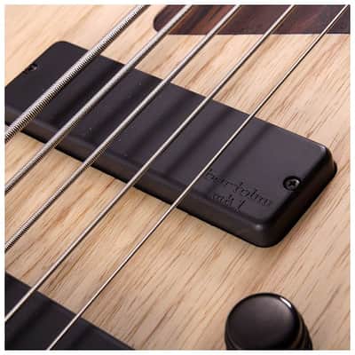Cort Artisan B4FL-Plus-AS-OPN Ash, Bolt on Neck, Mark Bass Pre Amp, Fretless, Free Shipping image 2