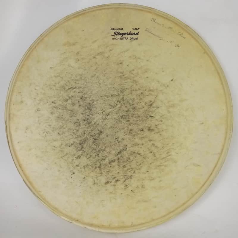 Slingerland 13" Genuine Calf Skin Tom Orchestra Drum Head Batter Vintage 50s USA image 1