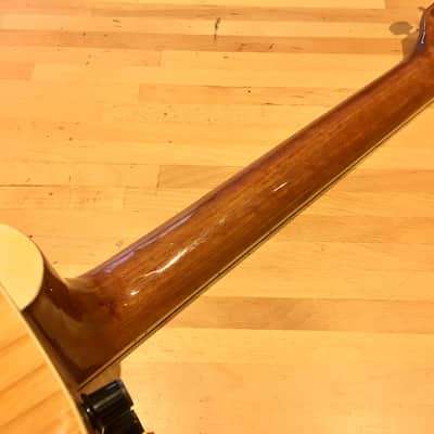 Dylon Electro Acoustic Dreadnought Guitar image 8