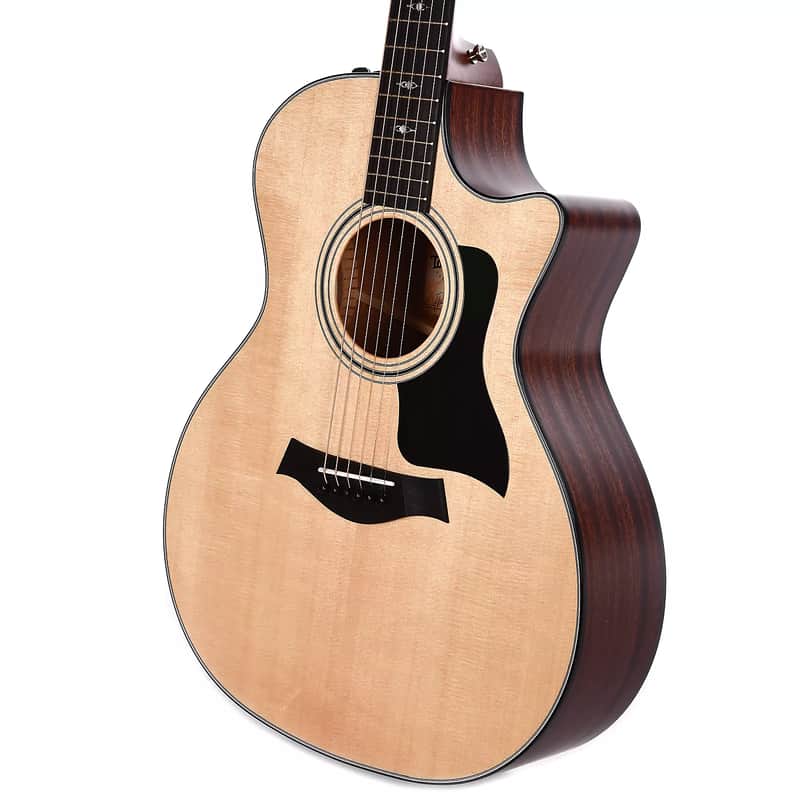 Taylor 314ce with V-Class Bracing image 3