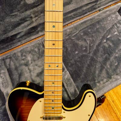 Fender Richie Kotzen Telecaster image 9