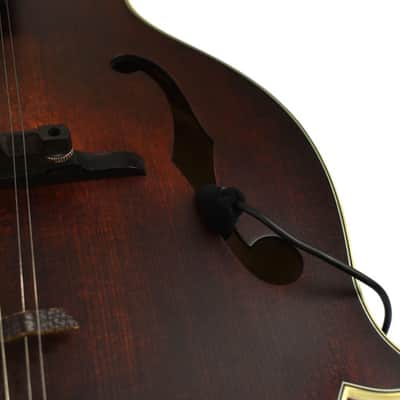 Your Heaven Audio CloseUp System for Mandolin 2018 Deep Grey Metallic image 3