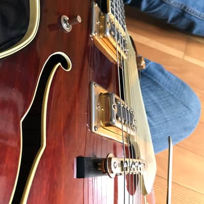 1973 Gretsch Country Gentleman image 15