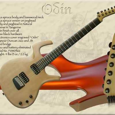 Parker Fly Artist, Custom (Odin) image 1