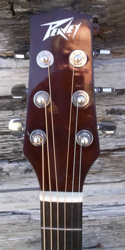 Peavey AGP6 アコースティックギター ソフトケース付き ビンテージ