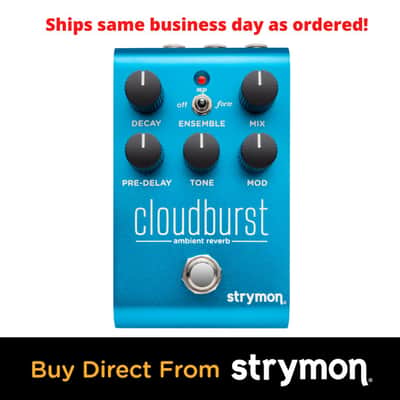Strymon Cloudburst image 7