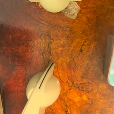 Warmoth St. Vincent Copy Solid Spalted Maple Burst image 3