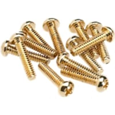 Pickup and Selector Switch Mounting Screws (12) (Gold) image 2