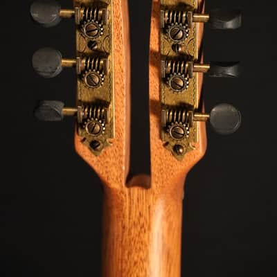 Stevens Mandola “Medieval” Mahogany 2026 - Natural image 11