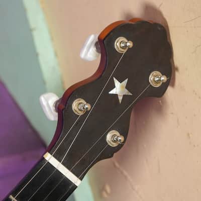 1922/2000s Vega Tubaphone Conversion Big Rim 5-String Openback Banjo (VIDEO! Fresh Work, Ready) image 3