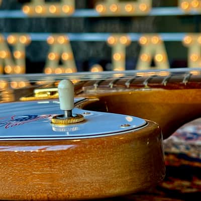 1976 Gibson Firebird Bicentennial Natural "first run" image 6