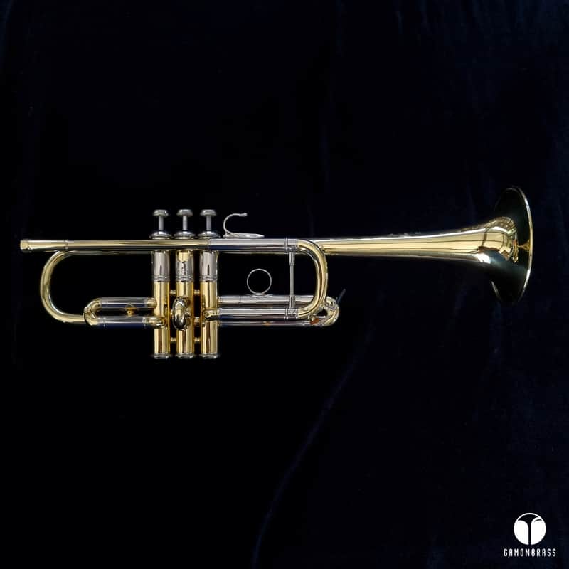 Bach Stradivarius Mt. Vernon N.Y 239 C trumpet mouthpiece gamonbrass image 1