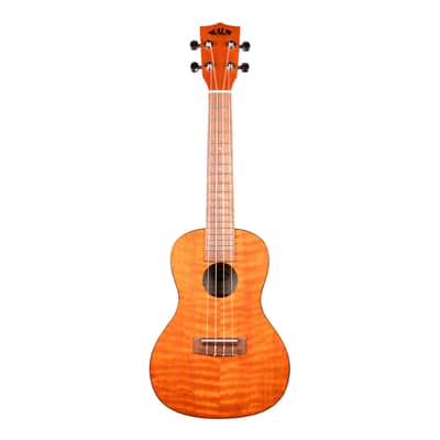 Exotic Mahogany Concert Kala image 7