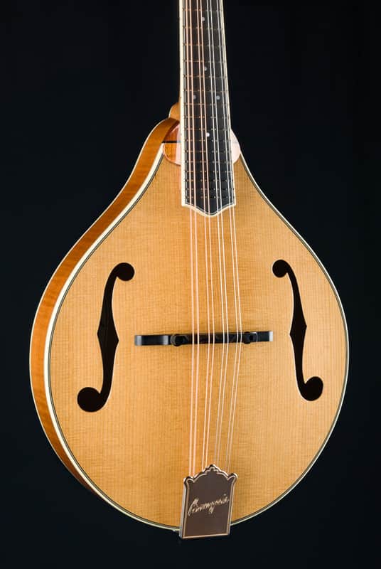 Bourgeois M5A Mandolin Full Aged Tone Adirondack Spruce and European Flamed Maple NEW image 1