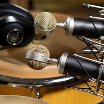 Blue Baby Bottle SL Large Diaphragm Cardioid Condenser Microphone image 3