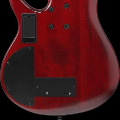 Ibanez SRD900F-BTL Bass Workshop SR Electric Bass 4-String Fretless - Brown Topaz Burst Low Gloss image 19