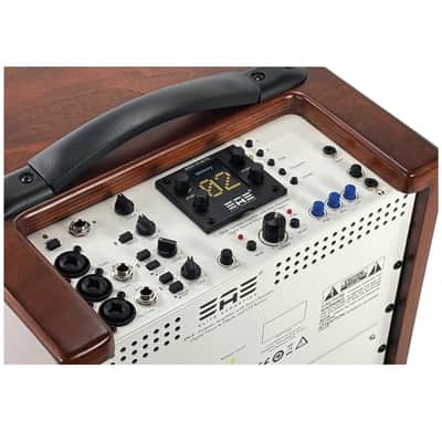 Elite Acoustics EAE D4-8 (OPEN BOX) Rechargeable Acoustic Amp with 4 Chan Digital Mixer/LFP Battery - Wood image 3