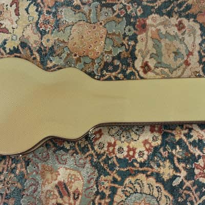 Washburn Raven electric guitar / flaming eagle refinish + Tweed case image 19