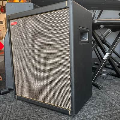 Positive Grid Spark Cabinet 2025 image 3