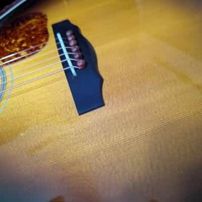 Guild F-50-R 2006 - Burst image 5