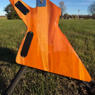 Peavey Rotor EXP Natural Wood - Explorer Body shape image 3