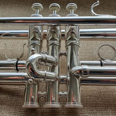 D. Calicchio DT-S1s/3M Dave TRIGG Model | Gamonbrass trumpet image 6