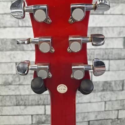 Arbor Les Paul Copy image 10