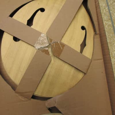 Saga AM-10 Build Your Own Mandolin Kit Build Kit image 4