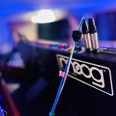 Moog Minimoog Voyager Performer Limited Edition 2015 with extras! image 5
