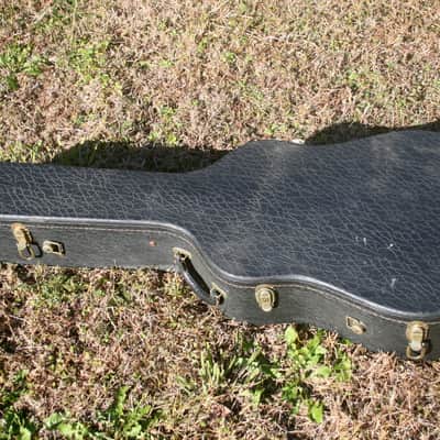 1970s Morris W100D B. Rosewood Jacaranda Body, Tree of Life, Solid Spruce Top, Pick up +Hard Case image 24