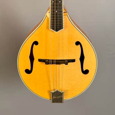 Bourgeois M5A Mandolin - Natural image 2