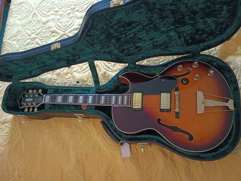 Grote Semi-hollowbody 2019 image 1