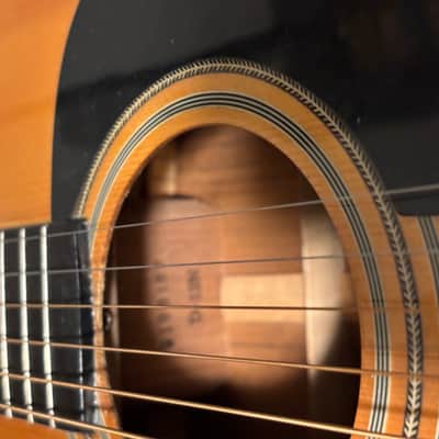 Washburn D13N image 7