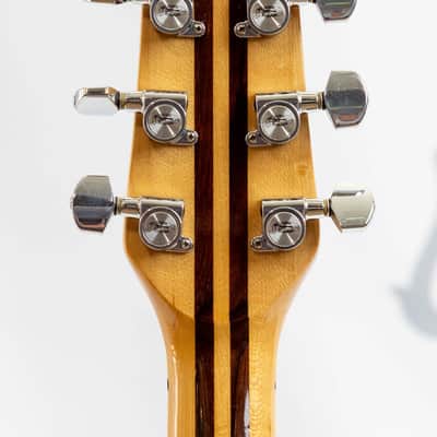 Washburn Falcon 1979 - Rosewod Top - 5 piece neck through with coil taps image 9