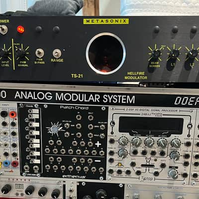 Metasonix TS-21 Hellfire Modulator. Original Metasonix rarity. image 2