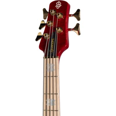 Spector Limited Edition Euro 5 LX 5 String Bass - Black Cherry Gloss image 5