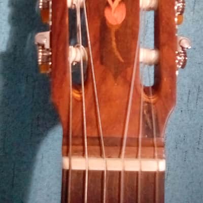 Beautiful Rare DiGiorgio Brazilian Classical Guitar Guarany C2 1979 image 6