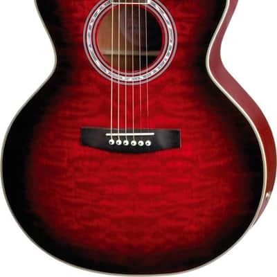 JAY TURSER ACOUSTIC ELECTRIC acoustic guitars for sale in USA