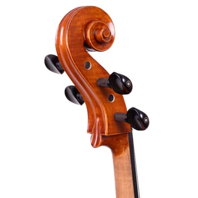 Testore Cello 4/4 from One Piece Back – Hand-Made in Romania 2025 #100 image 14