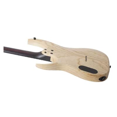 Schecter John Browne Tao-6 6-String Right-Handed Electric Guitar with Swamp Ash Body and Ebony Fretboard (Azure) image 3