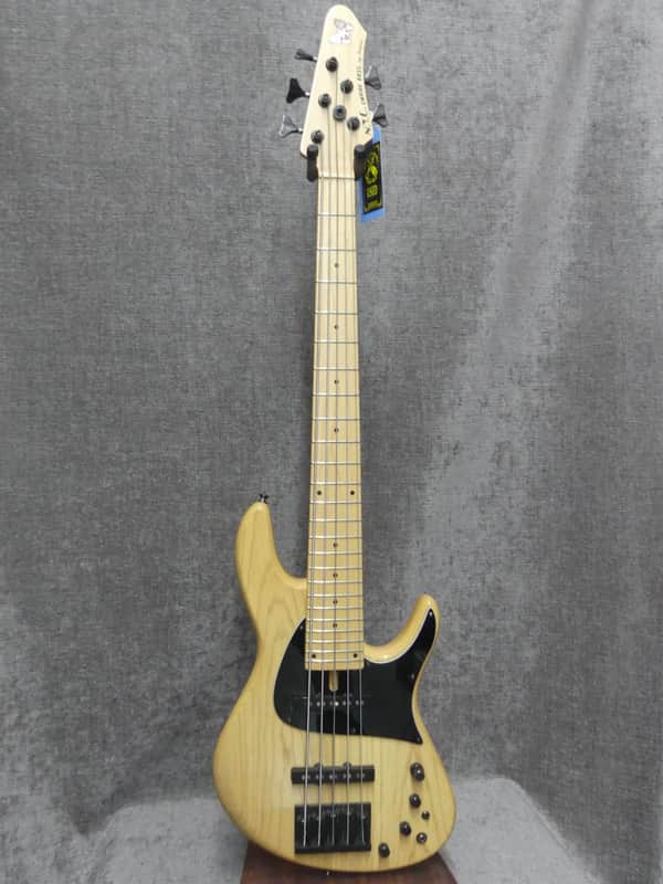 Fodera NYC Empire 5 Standard Bass Guitar | Reverb
