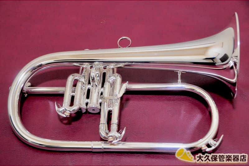 Brasspire Unicorn BPFG-850SS (NEW) Flugelhorn image 1