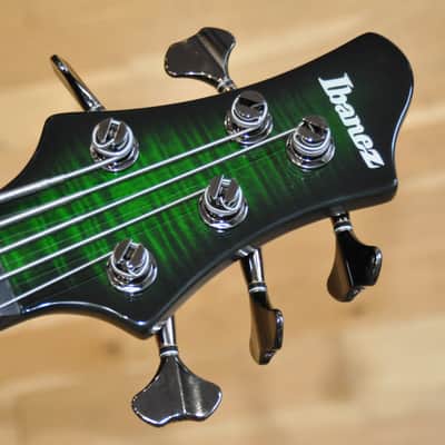 IBANEZ SDGB1 DMT Dark Moss Burst / 5-String Fretless / Steve Di Giorgio (Testament) Signature / SDGB1-DMT / I251007938 image 8