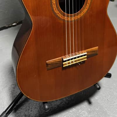 Gould G-45 Handcrafted Classical Guitar (Used) image 2