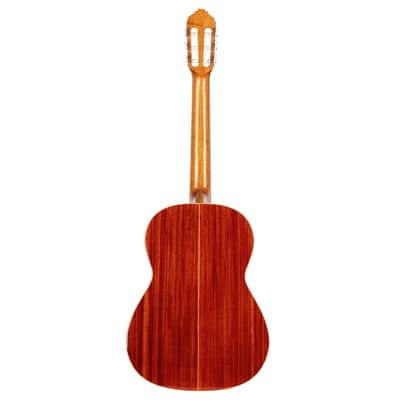 Ortega R200SN Traditional Series Cedar Top Mahogany Neck Nylon 6-String Classical Acoustic Guitar w/Gig Bag image 5