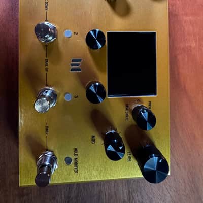 Meris Enzo X 2025 - Present - Gold image 2