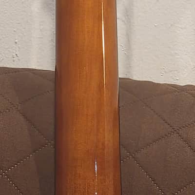 Washburn AF5K Apprentice Series Folk Body Spruce Top Mahogany Neck 6-String Acoustic Guitar w/Hard Case image 9