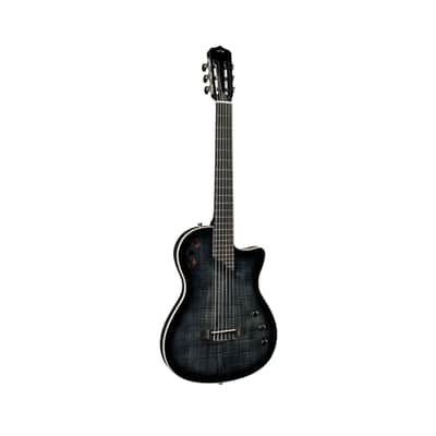 Cordoba Stage Nylon 6-String Electric Guitar with Gig Bag (Black Burst) image 3